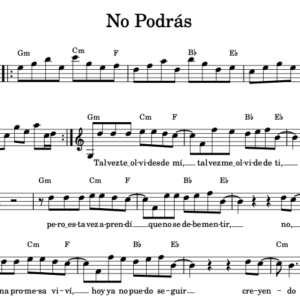 no podras